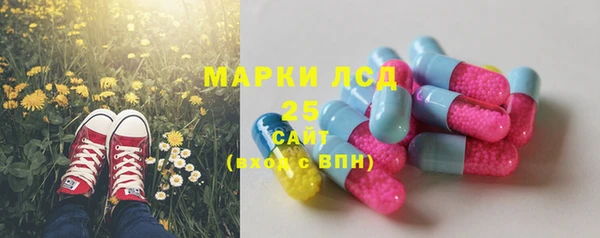 молекула духа Верхний Тагил