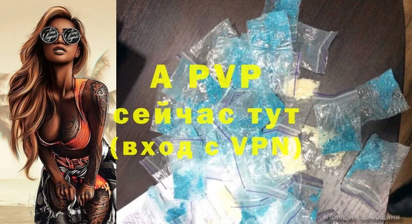 молекула духа Верхний Тагил