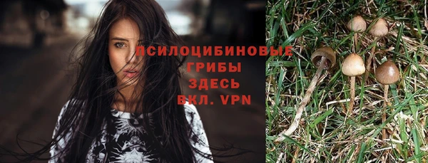 молекула духа Верхнеуральск