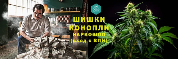 молекула духа Верхний Тагил